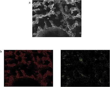 Performance of biomorphic Silicon Carbide as particulate filter in diesel boilers