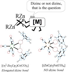 The dizinc bond as a ligand: A computational study of elongated dizinc bonds