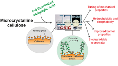 Greaseproof, hydrophobic, and biodegradable food packaging bioplastics from C6-fluorinated cellulose esters-1