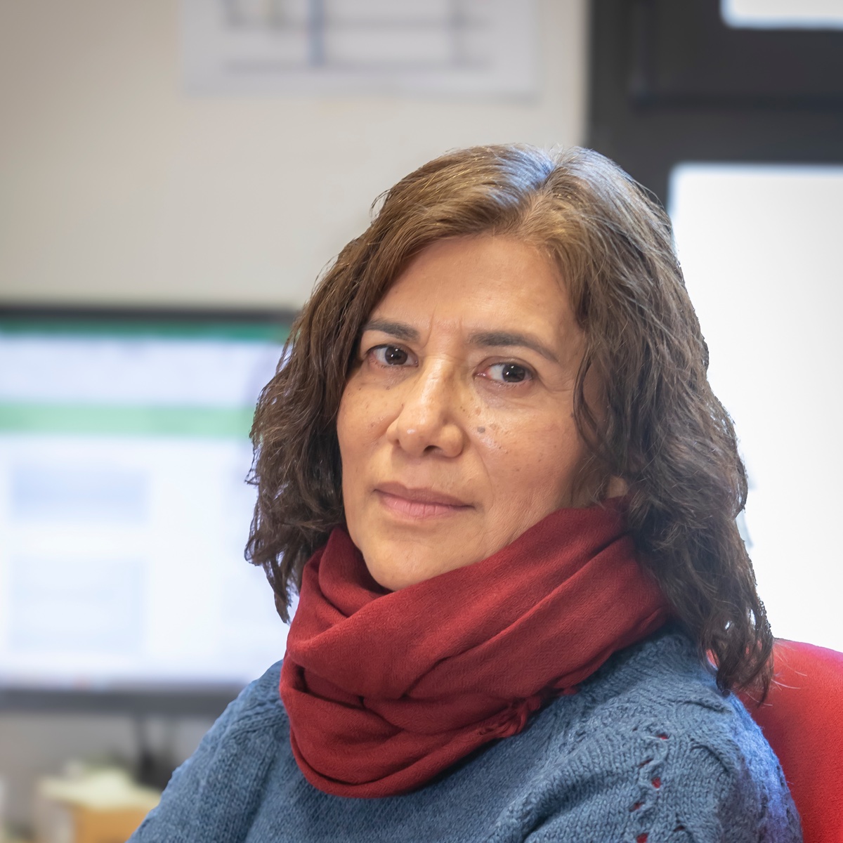 Lucía T. Castillo Flores