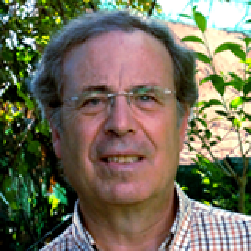 José Cotrino Bautista
