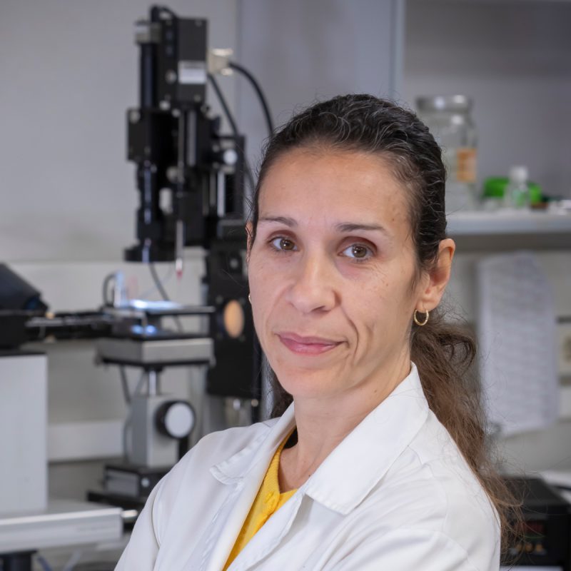Carmen López Santos