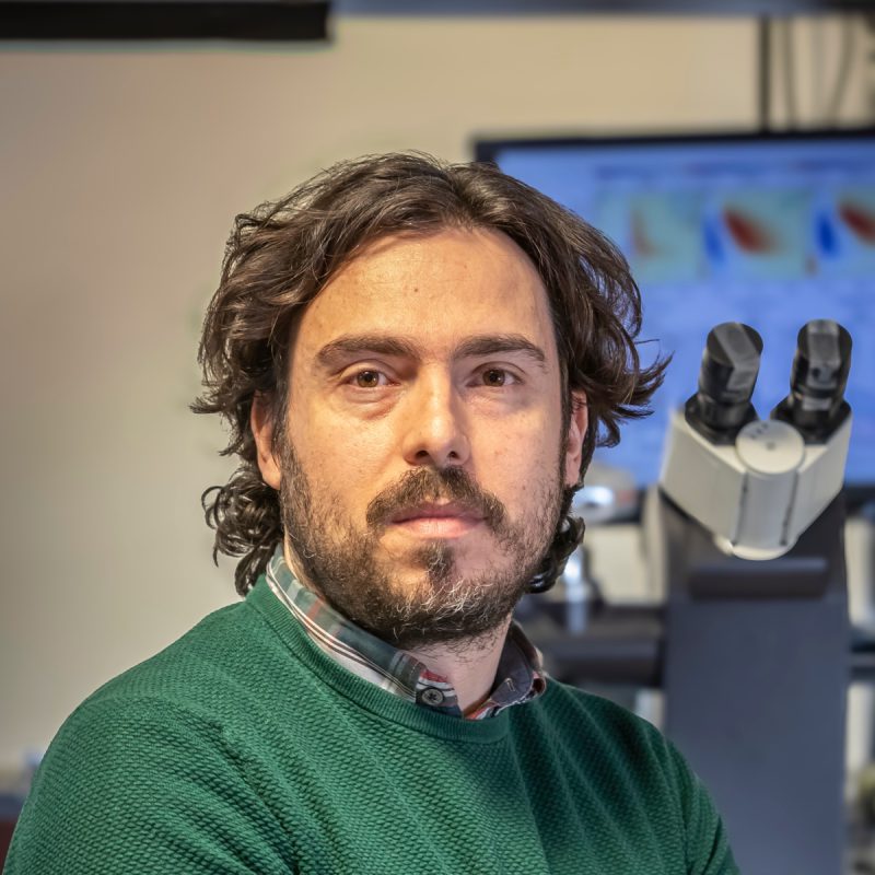 Gabriel Lozano