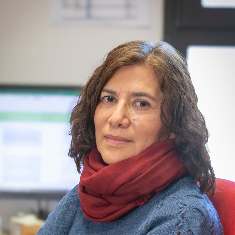 Lucía T. Castillo Flores