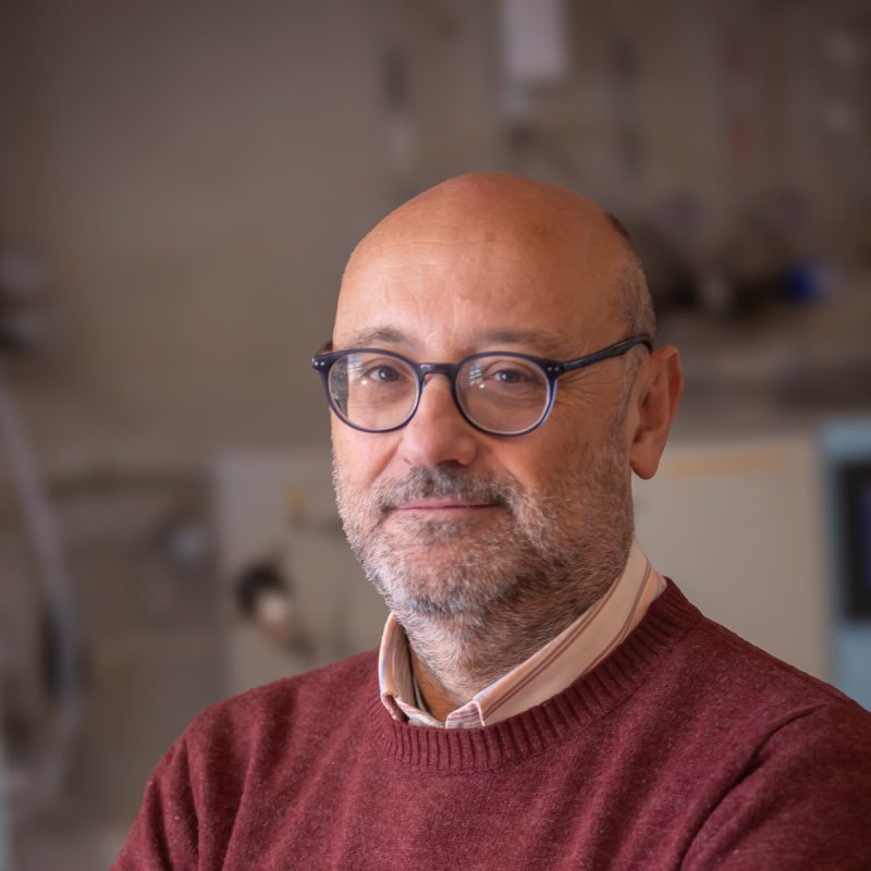 Miguel Angel Centeno Gallego